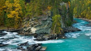 罗布森山附近的弗雷泽河，大不列颠哥伦比亚省，加拿大 (© phototropic/Getty Images)(Bing China)