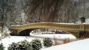 纽约州纽约市，中央公园的弓桥 (© Chuck and Sarah Fishbein/Getty Images)(Bing China)