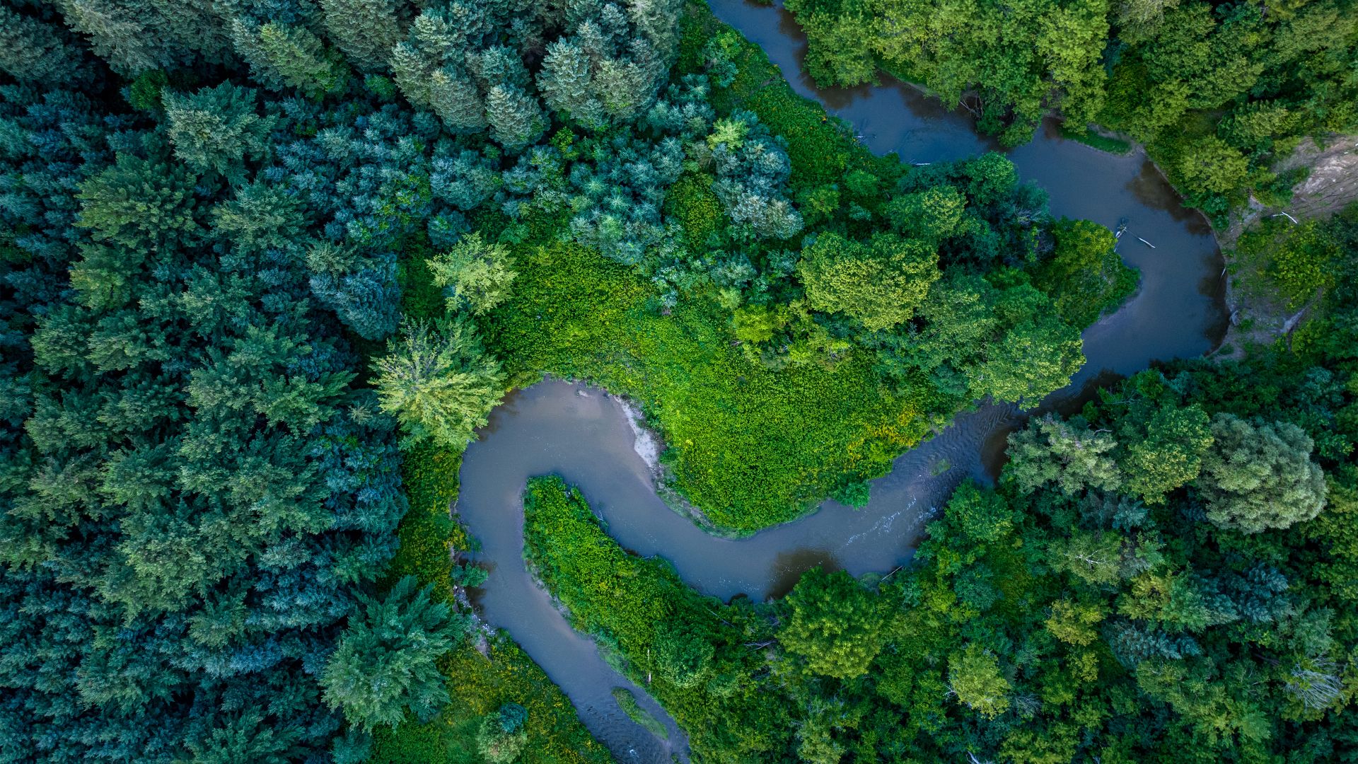 Humber River winding through Boyd Conservation Area, Woodbridge, Vaughan, Ontario
