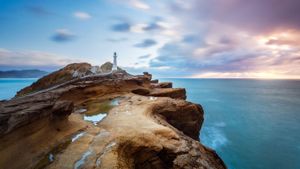 ｢キャッスルポイント灯台｣ニュージーランド北島, キャッスルポイント景観保護区 (© Matteo Colombo/Digital Vision/Getty Images)(Bing Japan)