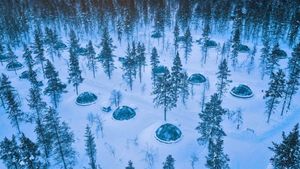 Glass igloos at the Kakslauttanen Arctic Resort in Saariselkä, Finland (© Lingxiao Xie/Getty Images)(Bing Australia)