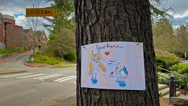 Poster for Teacher Appreciation Week by 12-year-old Caroline Holt, 7th-grade student at the Bush School, Seattle, Washington