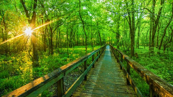 Natchez Trace Parkway, Tupelo, Mississippi, United States