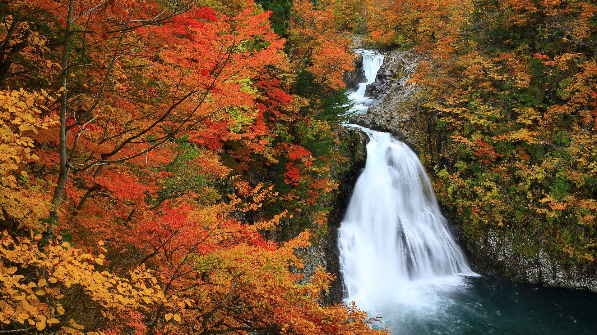 紅葉に包まれた法体の滝, 秋田県 由利本荘市
