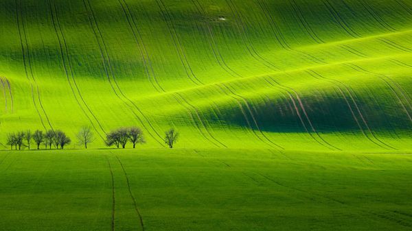 Paysage de Moravie-du-Sud près de Kyjov, République tchèque