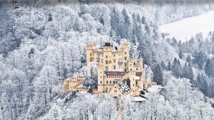 Schloss Hohenschwangau, Schwangau bei Füssen, Bayern (© volkova natalia/Shutterstock)(Bing Deutschland)