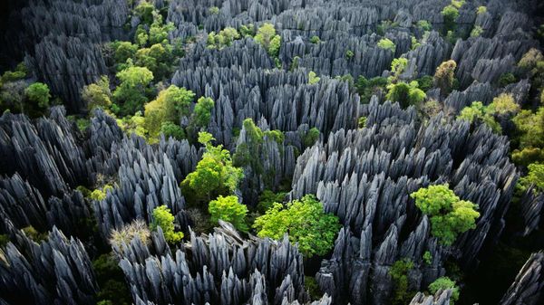 Tsingy de Bemaraha National Park, Madagascar