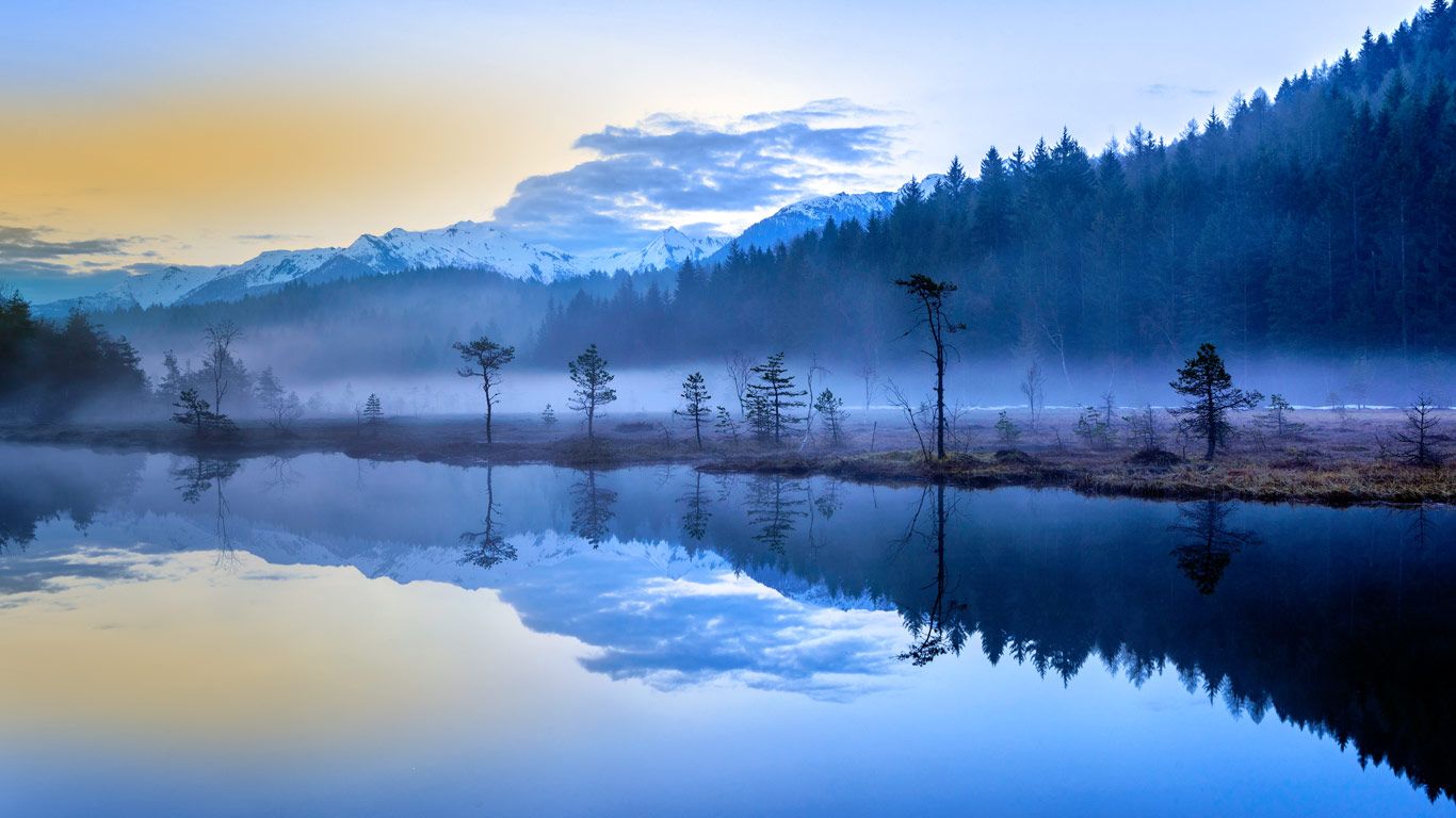 The misty bogs of Pian Gembro Regional Reserve near Aprica, Italy