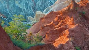 马达加斯加，安卡拉凡兹卡国家公园，Ankarokaroka canyon (© Bernard Castelein/Minden Pictures)(Bing China)
