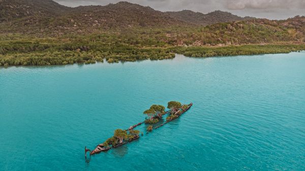 Aerial view of the \'City of Adelaide\' shipwreck with trees growing on it, Magnetic Island, Queensland, Australia