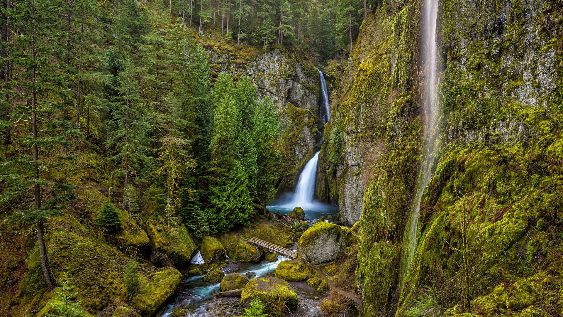 Wahclella Falls in the Columbia River Gorge, Oregon, USA