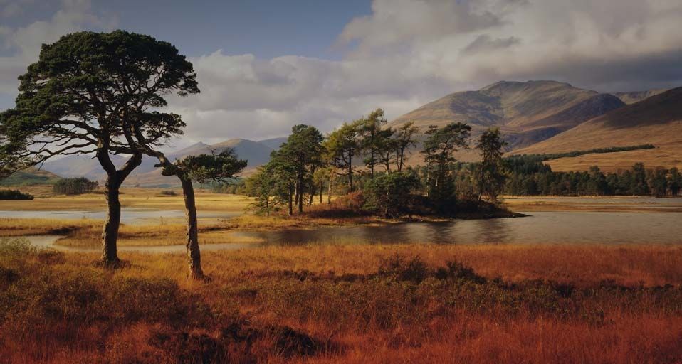 Loch Tulla in the Western Highlands, Scotland, UK