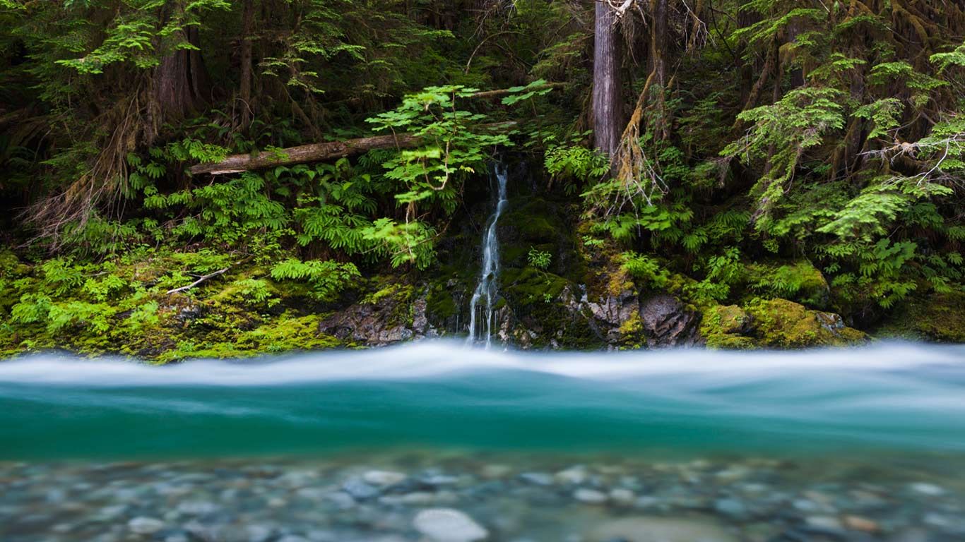 Bacon Creek, Mount Baker-Snoqualmie National Forest, Washington