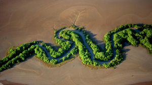 Une rivière dans le parc national de Kakadu, Australie (© Yann Arthus-Bertrand/Corbis)(Bing France)