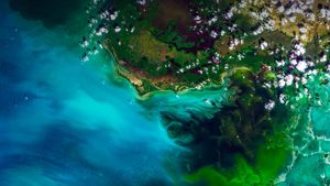 大沼泽地国家公园的卫星视图，佛罗里达州 (© Satellite Earth Art/Aurora Photos)(Bing China)