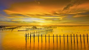 台湾台南七股泻湖 (© Sunrise@dawn Photography/Getty Images)(Bing China)