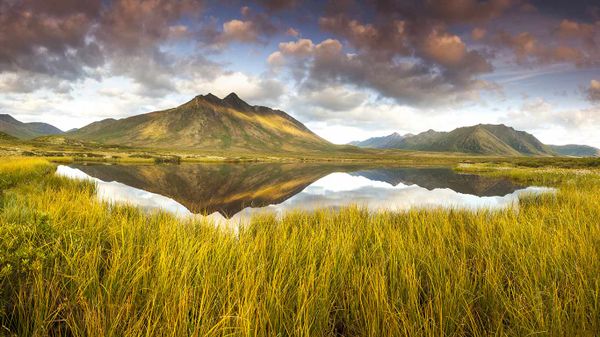 Mountain reflection in a thaw-lake in the permafrost in Tombstone Territorial Park, Yukon Territory