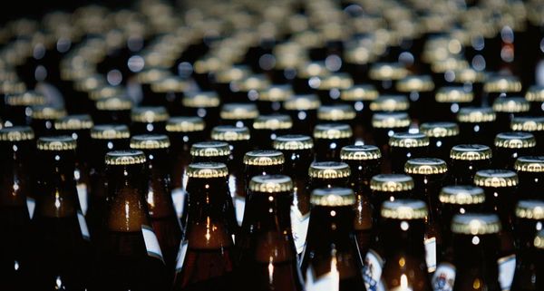 Bierflaschen auf einem Fließband
