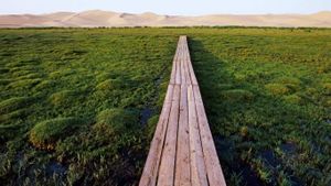 Bridge over marshland near the Khongoryn Els sand dunes in the Gobi Desert, Mongolia (© Franck Guiziou/Hemis/Corbis)(Bing United States)