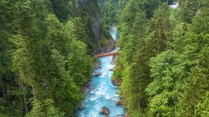 シュタイアー川, オーストリア オーバーエスターライヒ州 (© guenterguni/Getty Images)(Bing Japan)