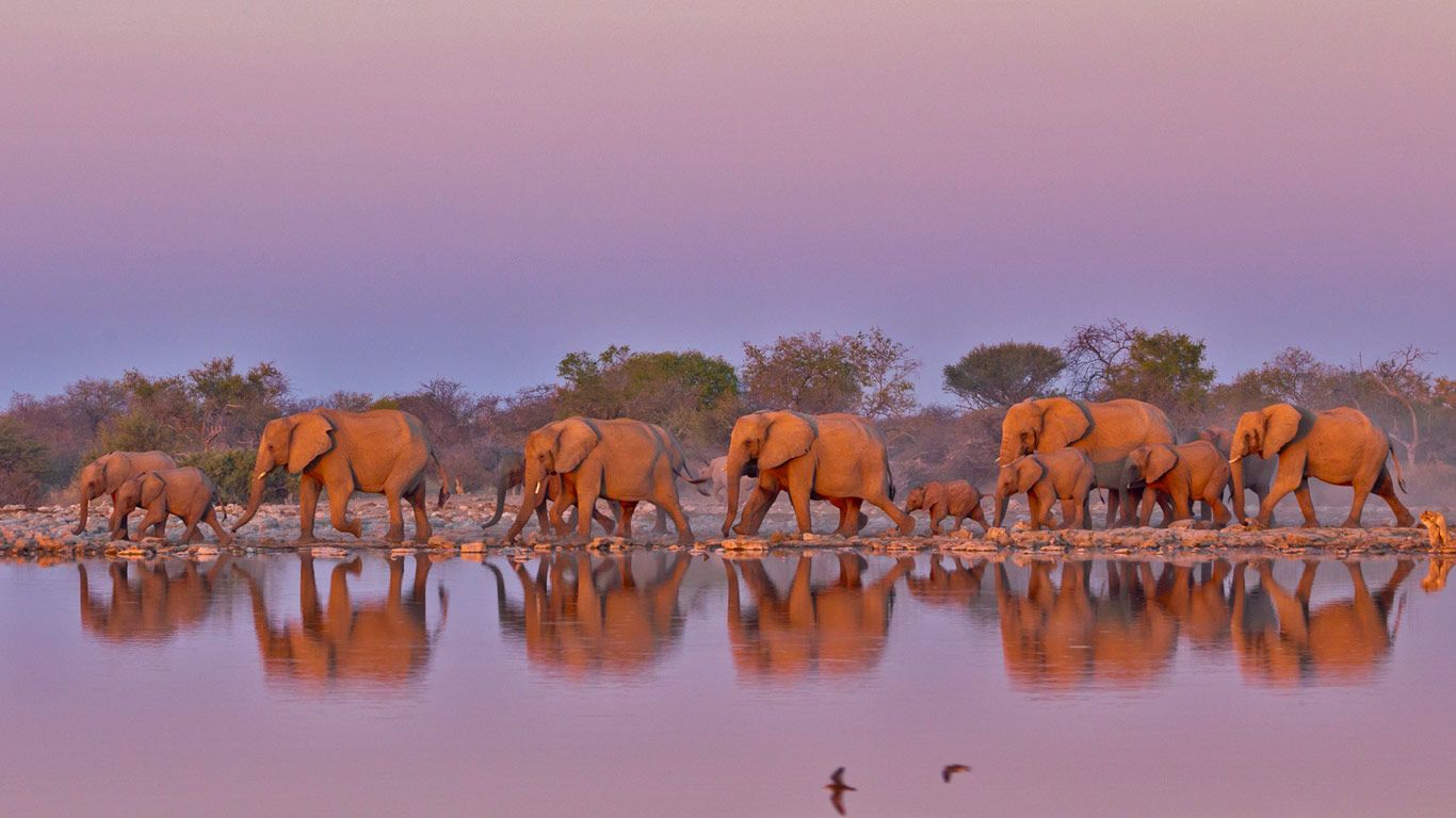At Kruger National Park, South Africa, for World Elephant Day