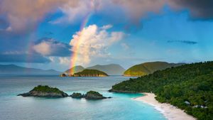 Baia del Tronco, Parco Nazionale delle Isole Vergini, Saint John, USA (© cdwheatley/Getty Images)(Bing Italia)