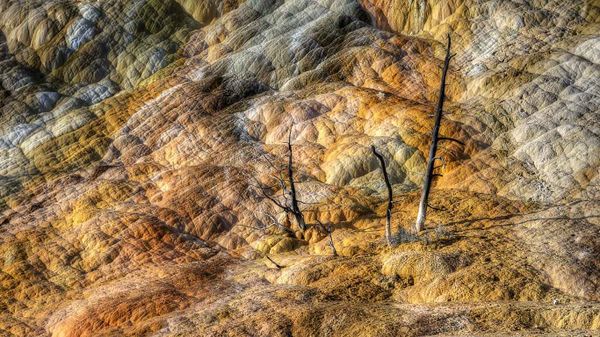 Mammoth Hot Springs, Yellowstone National Park, Wyoming