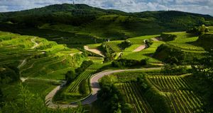 Vineyards and winding roads in the Kaiserstuhl region of Germany -- Andreas Wonisch/Getty Images &copy; (Bing United States)