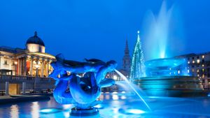 The Christmas tree at Trafalgar Square, London (© Stuart Black/robertharding/SuperStock)(Bing United Kingdom)