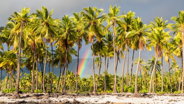 Parco nazionale Pu'uhonua O Honaunau, Big Island, Hawaii