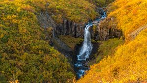 Cascade de Skaftafell, Parc national du Vatnajökull, Islande  (© Nopasorn Kowathanakul/Getty Images)(Bing France)