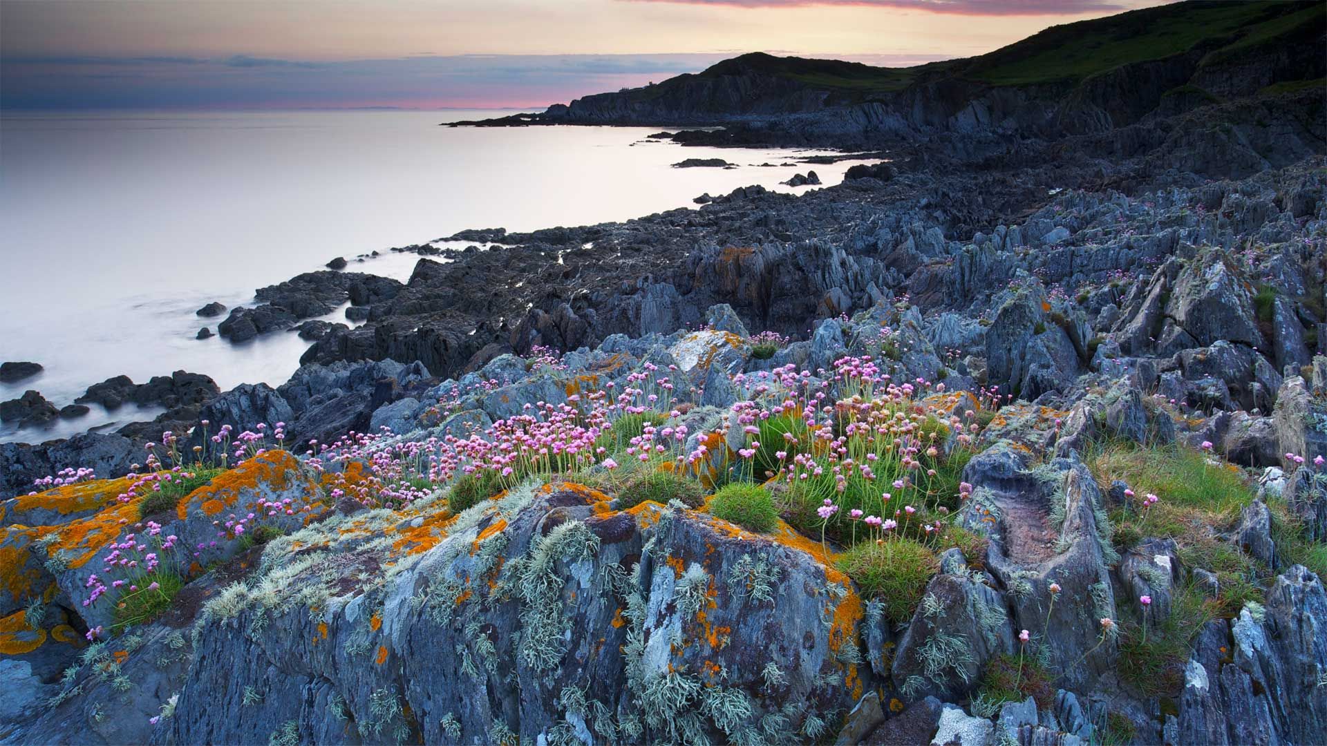Bull Point dans le comté de Devon, Angleterre
