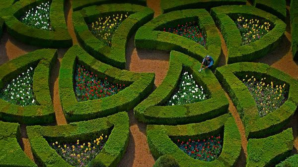 Gardens at Villandry Castle, Loire Valley, France
