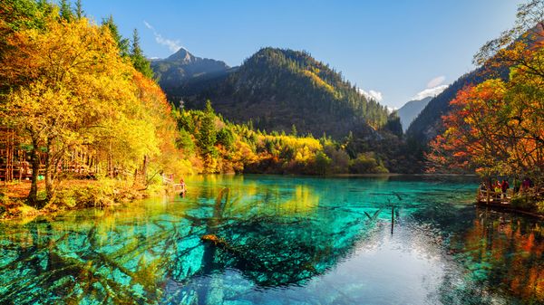 五花海，阿坝九寨沟旅游景区，四川省，中国