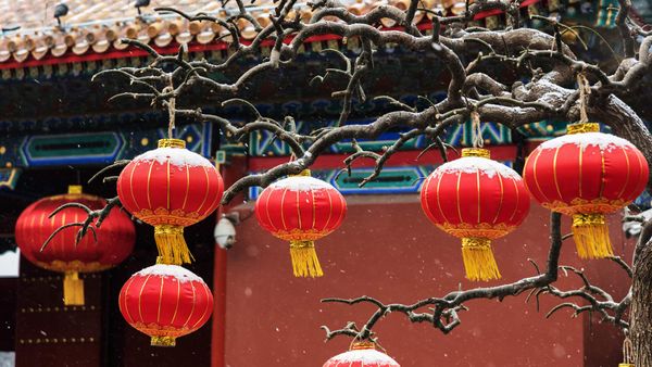 Red lanterns hanging on branches