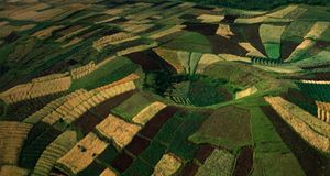 ｢小麦の段々畑｣ルワンダ, ヴィルンガ山地 -- George Steinmetz/Corbis &copy; (Bing Japan)