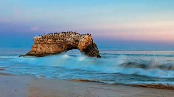 Natural Bridges State Beach, Santa Cruz, California