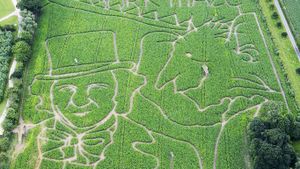 A Roald Dahl-themed maze in York (© Andrew McCaren/LNP/Rex/Shutterstock)(Bing United Kingdom)