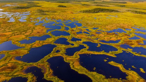 Vista aerea della torbiera nella riserva naturale di Martimoaapa Mire, Finlandia