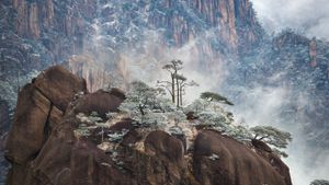 黄山的冬天，中国 (© Hung Chung Chih/Shutterstock)(Bing China)