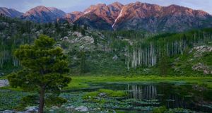 The peaks of the San Juan Mountains, part of the Rocky Mountains, rise above a beaver pond  in southwest Colorado -- Phil Nelson/Photolibrary &copy; (Bing New Zealand)
