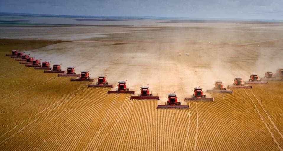 Soya beans are harvested at Fartura Farm, Mato Grosso state, Brazil