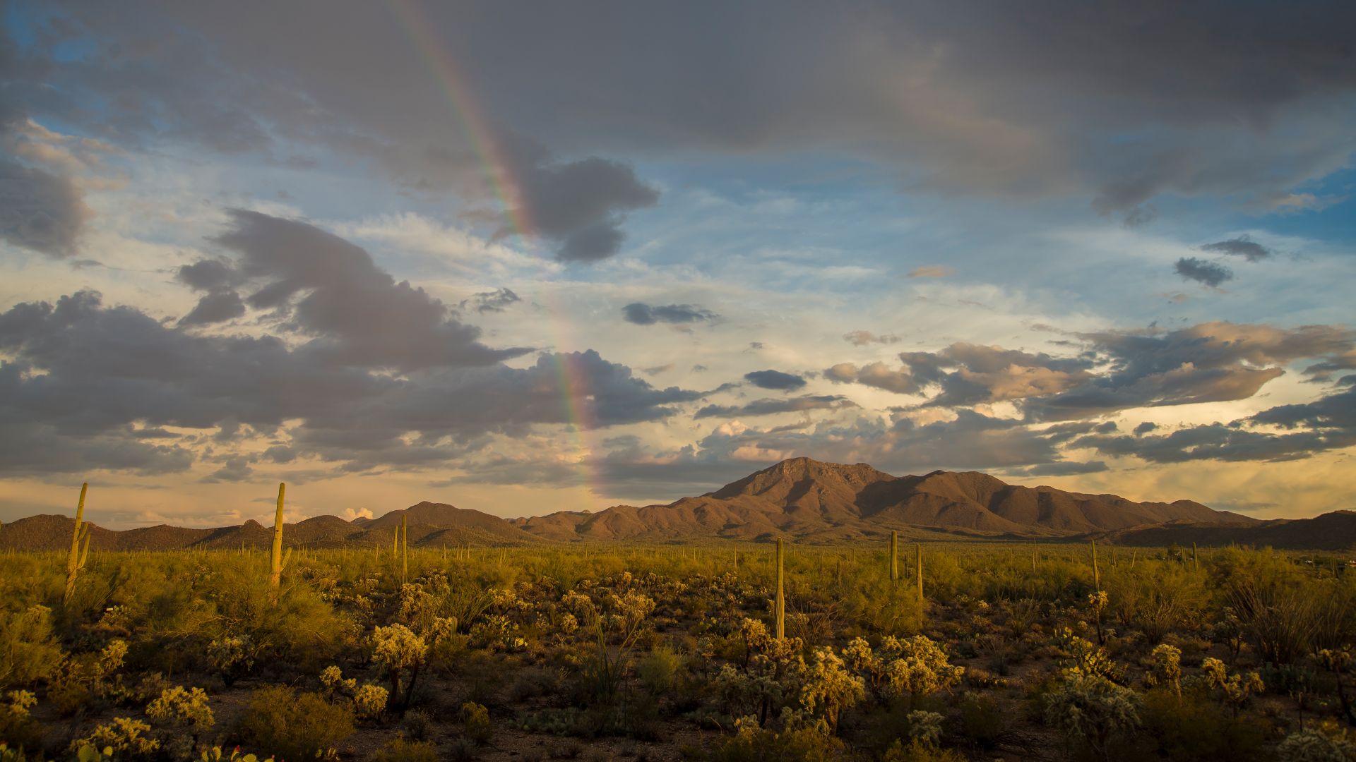 Rainbow over Wasson Peak, Saguaro National Park, Arizona, United States
