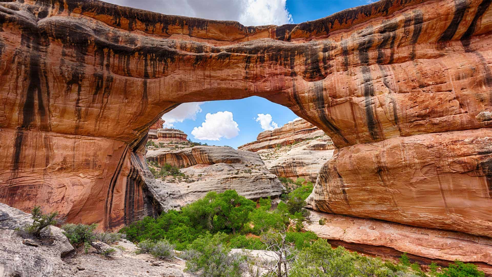 Sipapu Bridge in Natural Bridges National Monument, Utah
