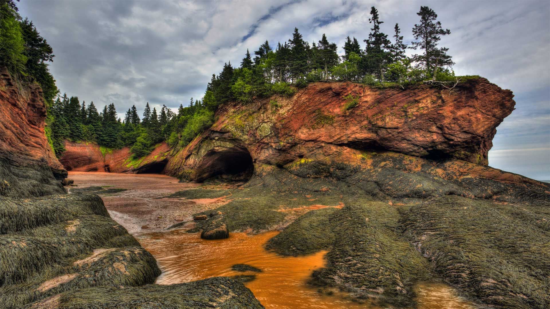 Caves and coastal features at low tide on the Bay of Fundy, near St. Martins, New Brunswick, Canada