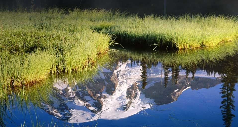 Mt. Rainier reflected in Reflection Lake, Mount Rainier National Park, Washington