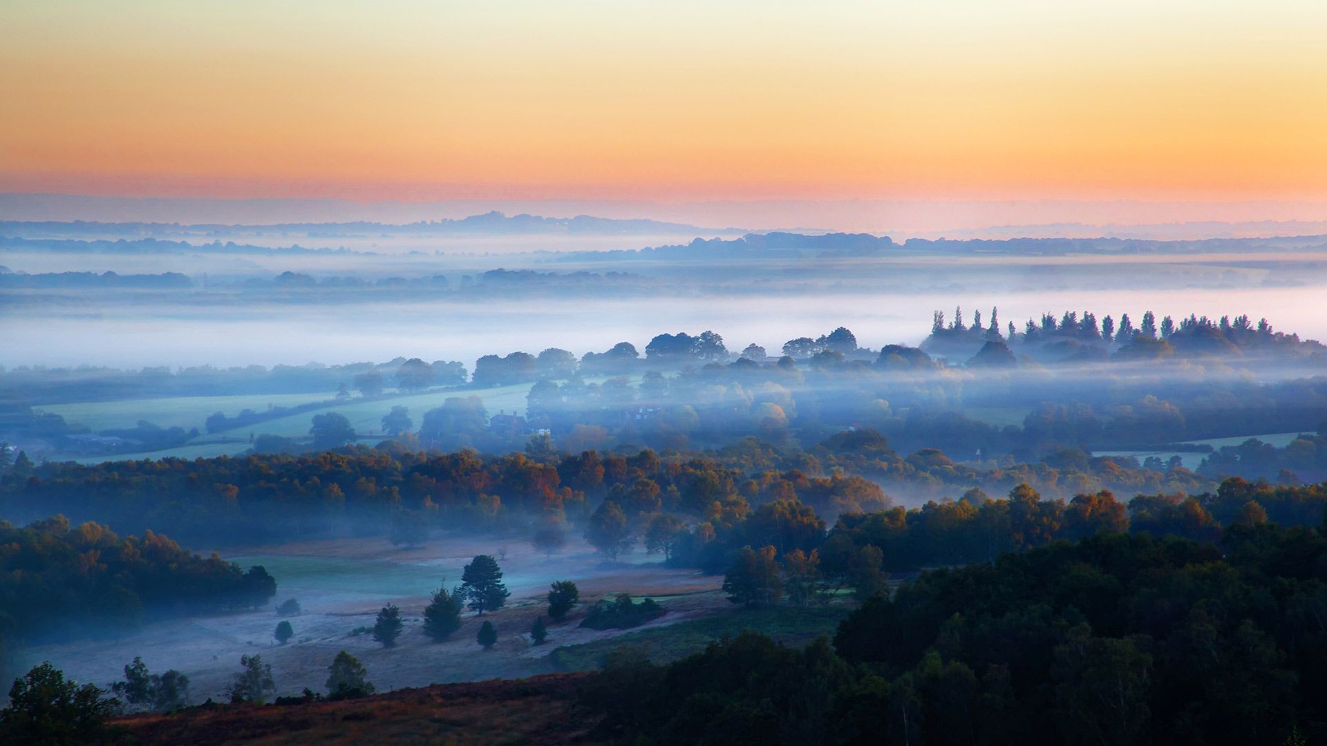 Ashdown Forest, East Sussex, United Kingdom