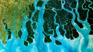 Photo satellite du delta du Gange en Inde et au Bangladesh (© Planet Observer/Universal Images Group/SuperStock)(Bing France)