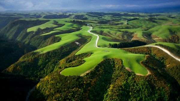 Aerial view of farmlands, North Island, New Zealand