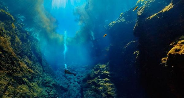 Underwater view of Lagoa Misteriosa (Mysterious Lagoon) in Jardim, Brazil
